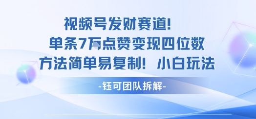 视频号发财赛道：单条视频7万点赞变现，四位数收益的简单易复制方法-网赚项目资源库