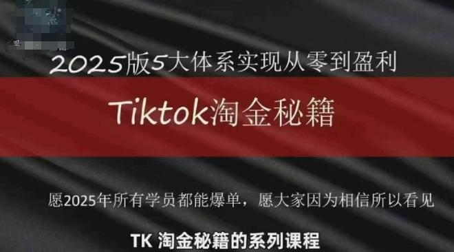 TikTok 2025年跨境淘金攻略：从零到盈利变现-网赚项目资源库