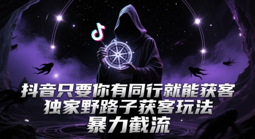 抖音获客技巧：同行合作与独家野路子，揭秘暴力截流方法-网赚项目资源库