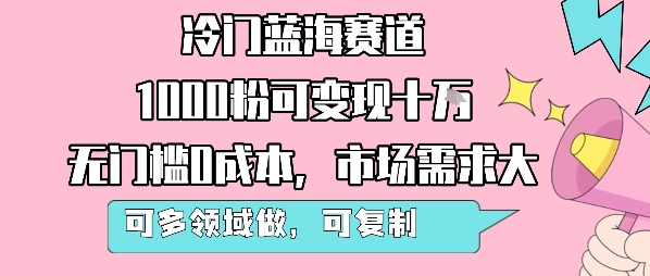 揭秘1000粉丝变现十万元蓝海赛道,无门槛、市场需求大,多领域可复制-网赚项目资源库