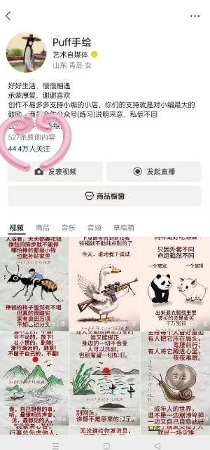 54df5106e00f3487e32e21a2c5529e9f.jpeg Puff手绘视频号分成项目,三天过分成计划,简单易上手,适合新手