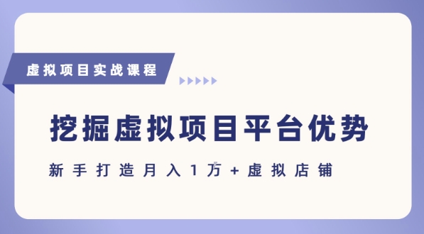 新手如何利用虚拟项目月入1万+：抓住各大平台优势的详细指南-网赚项目资源库
