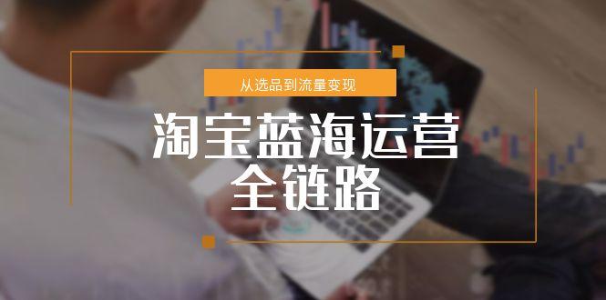 淘宝蓝海运营全链路攻略：小类目流量变现与选品策略-网赚项目资源库