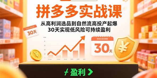 拼多多实战课程：30天实现低风险可持续盈利，从高利润选品到自然流量高投产-网赚项目资源库