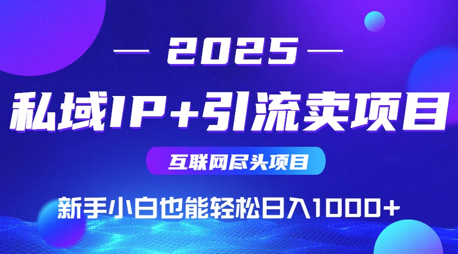 2025网创项目揭秘：私域IP引流，新手日入1000+-网赚项目资源库