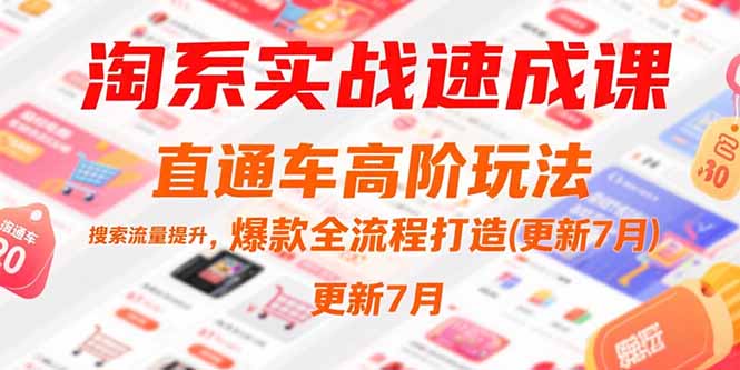淘系直通车高阶实战速成课：搜索流量提升与爆款打造全流程-网赚项目资源库