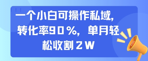 小白操作私域,转化率90%,单月轻松赚取2万-网赚项目资源库