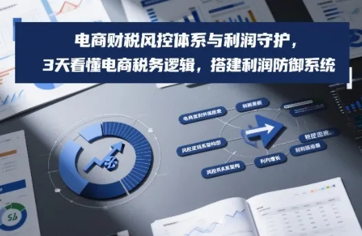 电商财税风控体系与利润守护：3天掌握电商税务逻辑，构建利润防御系统-网赚项目资源库