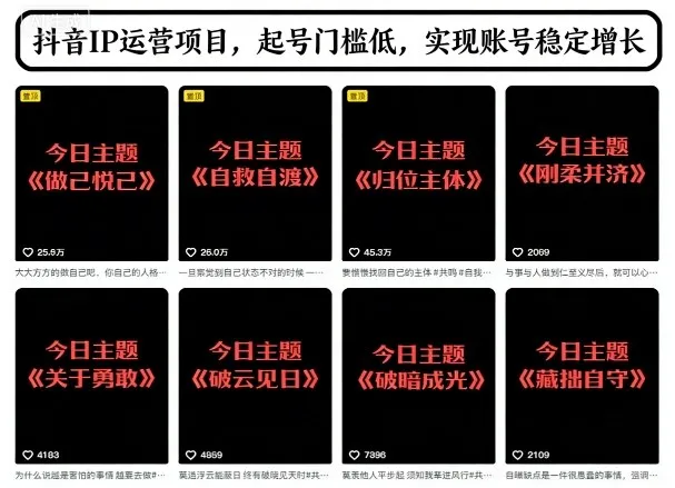 抖音IP运营项目：今日主题玩法，低门槛起号，助力账号稳定增长-网赚项目资源库