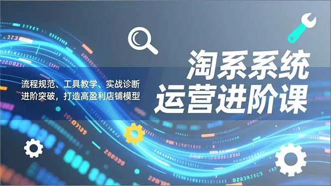 淘系系统运营进阶课2.0:流程规范、工具教学与实战诊断,助力店铺盈利提升-网赚项目资源库