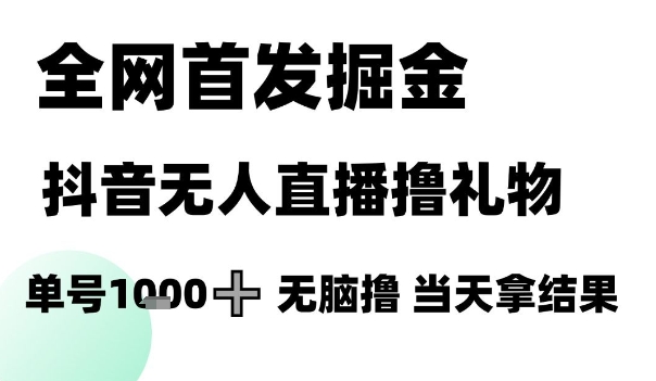 全网首推抖音无人直播赚钱法,单号日入千元,揭秘无脑撸礼物技巧-网赚项目资源库