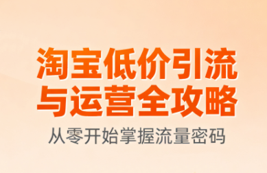 淘宝低价引流与运营全攻略(更新至9月)-网赚项目资源库