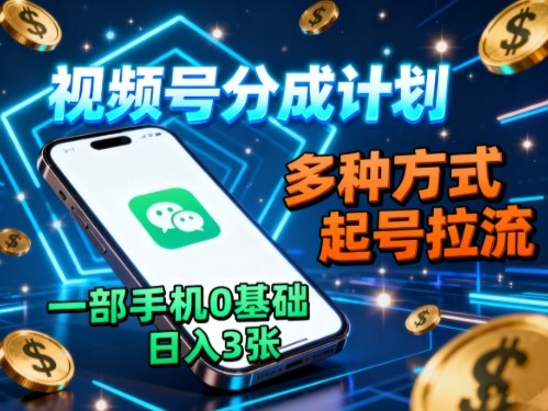 视频号赚钱攻略：零基础日入300元，一部手机搞定！-网赚项目资源库