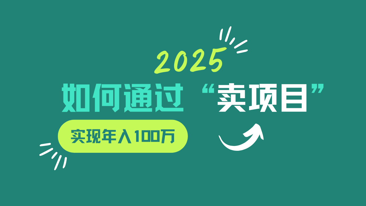 2025年通过“卖项目”实现年入100万的策略-网赚项目资源库