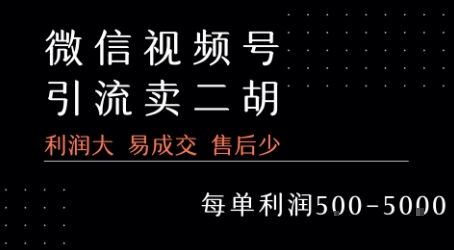 视频号二胡教程销售，高利润易成交，售后少，每单利润5张起-网赚项目资源库