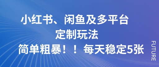 小红书、闲鱼多平台定制玩法，每天稳定5张攻略-网赚项目资源库