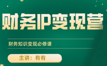 财务知识变现必修课：有有老师·财务IP变现营-网赚项目资源库