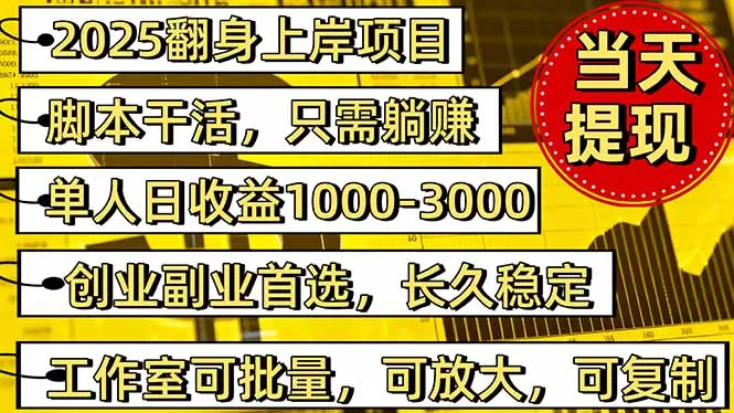 2025年翻身项目脚本，内部客户经理开号，单人日收益1000-3000元-网赚项目资源库
