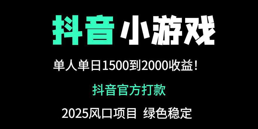 抖音小游戏2025年最新赚钱方法，日赚2000+的暴利项目-网赚项目资源库