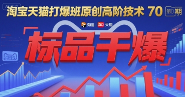 淘宝天猫高阶技术第70期：标品干爆班-网赚项目资源库