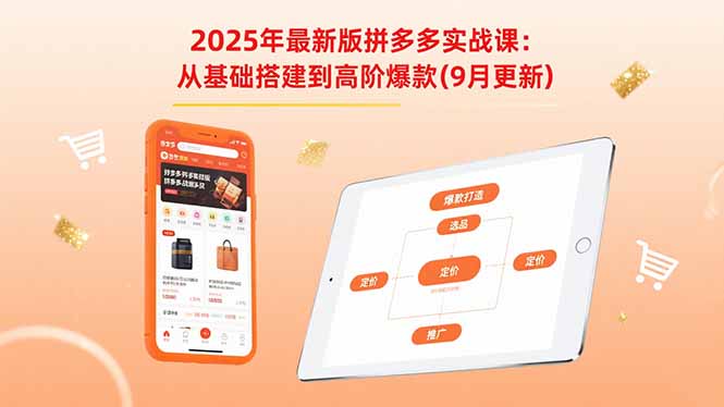 2025年拼多多实战课程：从基础到高阶爆款（9月更新）-网赚项目资源库