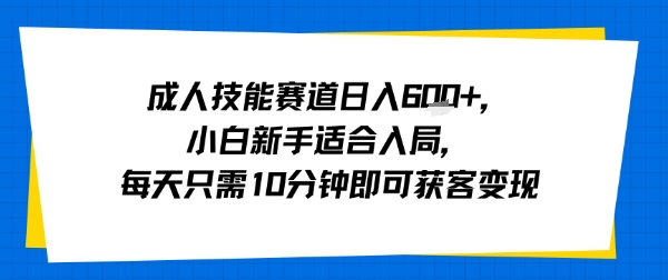 成人技能赛道日入多张，小白新手适合入局，每天只需10分钟即可获客变现-网赚项目资源库