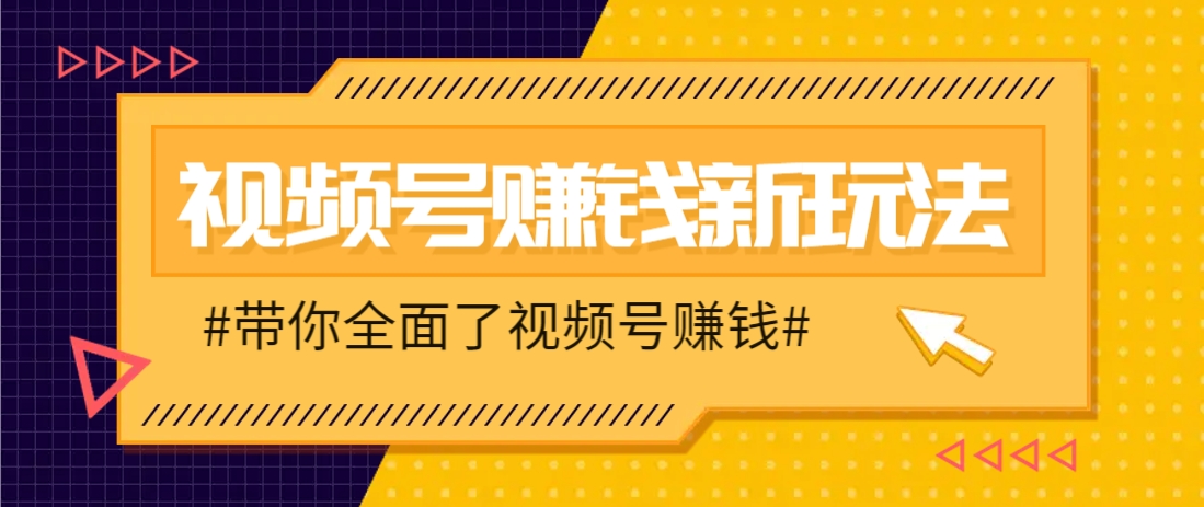 视频号短视频带货新策略，日赚4407元教程揭秘-网赚项目资源库