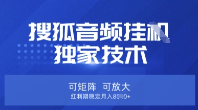 【搜狐音频挂G】独家技术揭秘：矩阵操作、稳定月入8k-网赚项目资源库