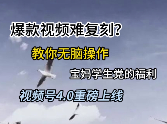 79ef28ca70be7426f2bf0001440dafc1.jpeg 视频号4.0重磅上线,爆款视频难复刻?教你无脑操作宝妈学生党的福利【揭秘】