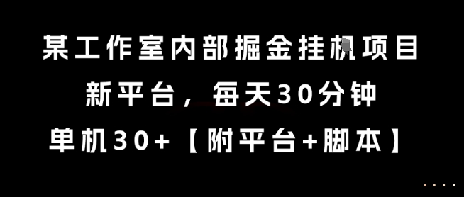 揭秘：某工作室新平台，每天30分钟，单机30+，新掘金挂G项目-网赚项目资源库