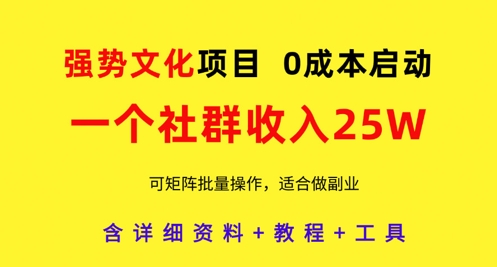 启动零成本强势文化项目，社群收入25万实操教程-网赚项目资源库
