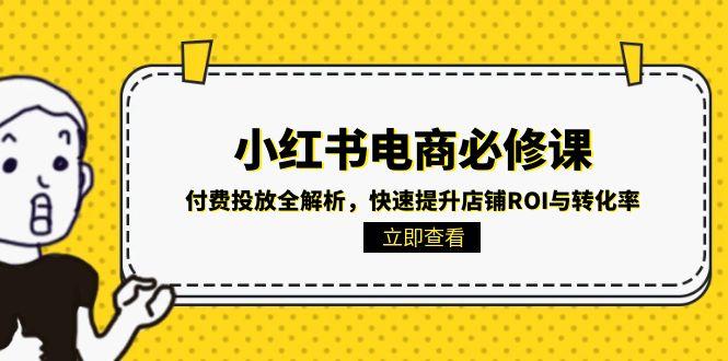 小红书电商提升ROI与转化率:必修课解析付费投放策略-网赚项目资源库