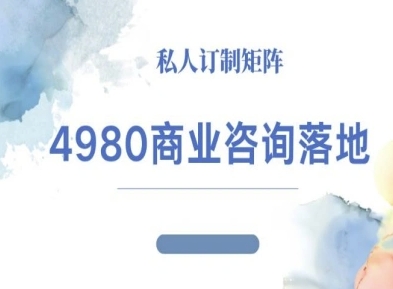 4980商业咨询师落地课程：高客单IP运营教程-网赚项目资源库