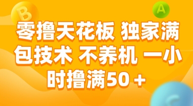 揭秘：零撸天花板技术，满包不养机，一小时赚50+-网赚项目资源库