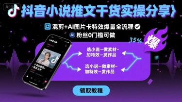 抖音小说推文实操干货分享：0粉丝0门槛，混剪+AI图片卡特效全流程-网赚项目资源库