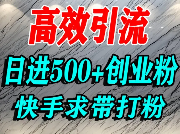 如何吸引创业粉?快手精准引流宝妈、学生群体,日增500+精准流量-网赚项目资源库