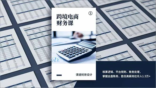 跨境电商财务课程:掌握核算逻辑、平台规则与账务处理,月入1.5万+胜任高薪岗位-网赚项目资源库