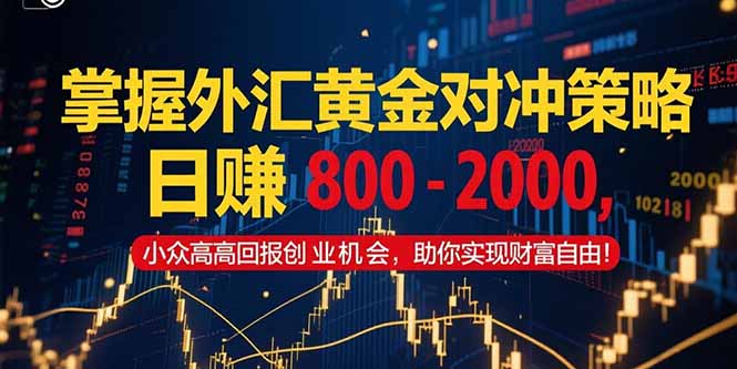 掌握外汇黄金对冲策略，日赚800-2000，小众高回报创业机会-网赚项目资源库