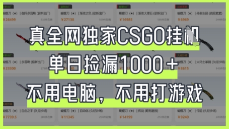 揭秘全网独家CSGO挂G，单日捡漏1k+-网赚项目资源库
