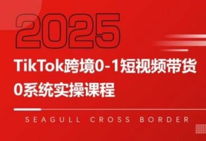 大亿老师TikTok短视频带货教程-网赚项目资源库