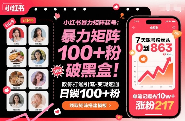 小红书暴力矩阵起号技巧：快速引流与变现，日增粉丝100+，破解流量瓶颈-网赚项目资源库