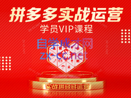 推易电商·拼多多实战运营课程(更新至2025月 -网赚项目资源库