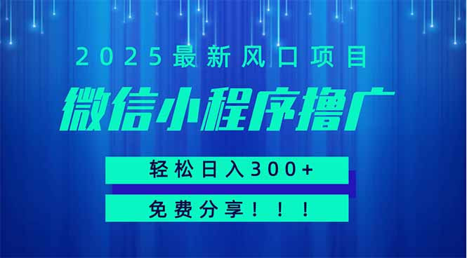 微信小程序赚钱秘籍：日入300+，免费分享，小白也能操作-网赚项目资源库