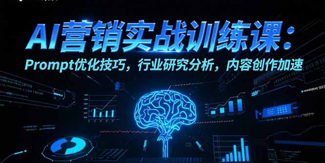 AI营销实战训练课：Prompt优化技巧，行业研究分析，内容创作加速-网赚项目资源库