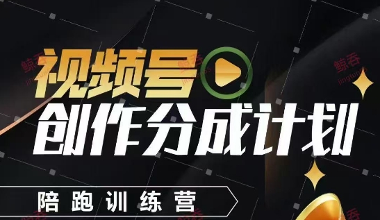 视频号创作分成计划陪跑训练营:手把手教你制作视频,实现长期收益-网赚项目资源库