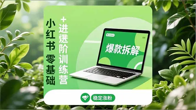 小红书零基础到高阶运营：安全养号、爆款策略、长效变现，助力粉丝增长与盈利-网赚项目资源库