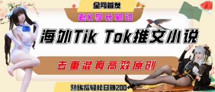 海外TikTok小说推广项目:高停留率、高转化率,轻松日入百元-网赚项目资源库