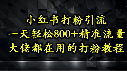 小红书高效引流技巧：一天吸引500+精准流量，行业大咖都在用的打粉教程-网赚项目资源库