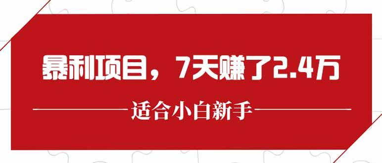 揭秘最新高收益项目，7天赚2.4万，单笔收益超300元-网赚项目资源库