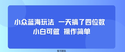 揭秘：一天内实现四位数收益的小众蓝海策略，适合小白轻松上手-网赚项目资源库